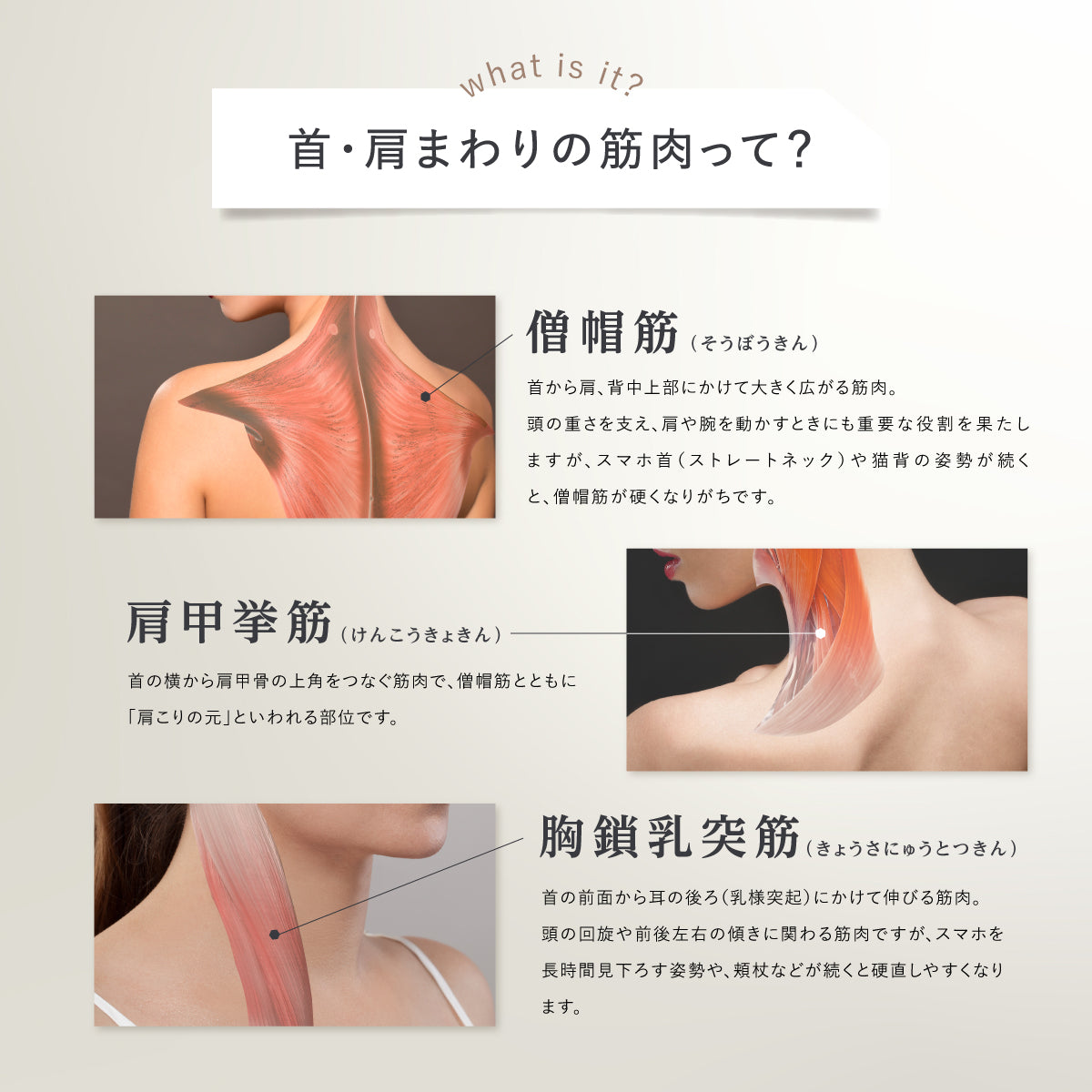 RELAGE リラージュ EMS NeckCare Flex 首 肩 ケア